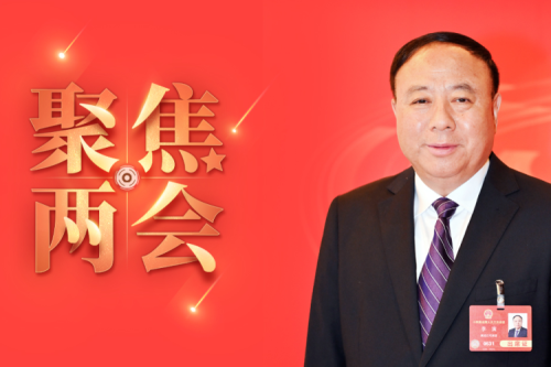 全國人大代表李寅2025年建議之四--盡快解決農(nóng)林生物質(zhì)發(fā)電可再生能源電價附加補(bǔ)助拖欠問題，化解行業(yè)經(jīng)營風(fēng)險的建議